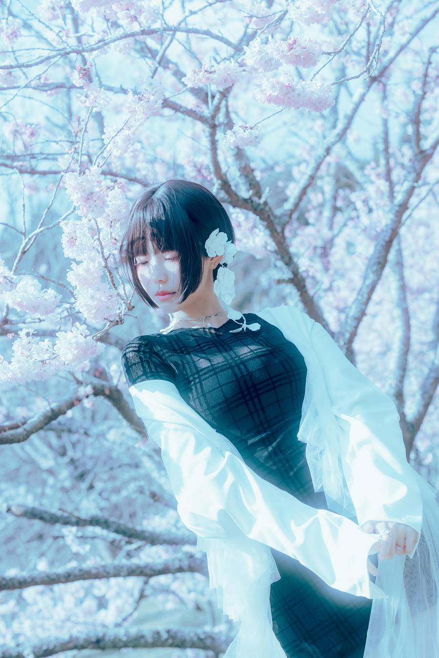 1a8d4e5206fd5-0
