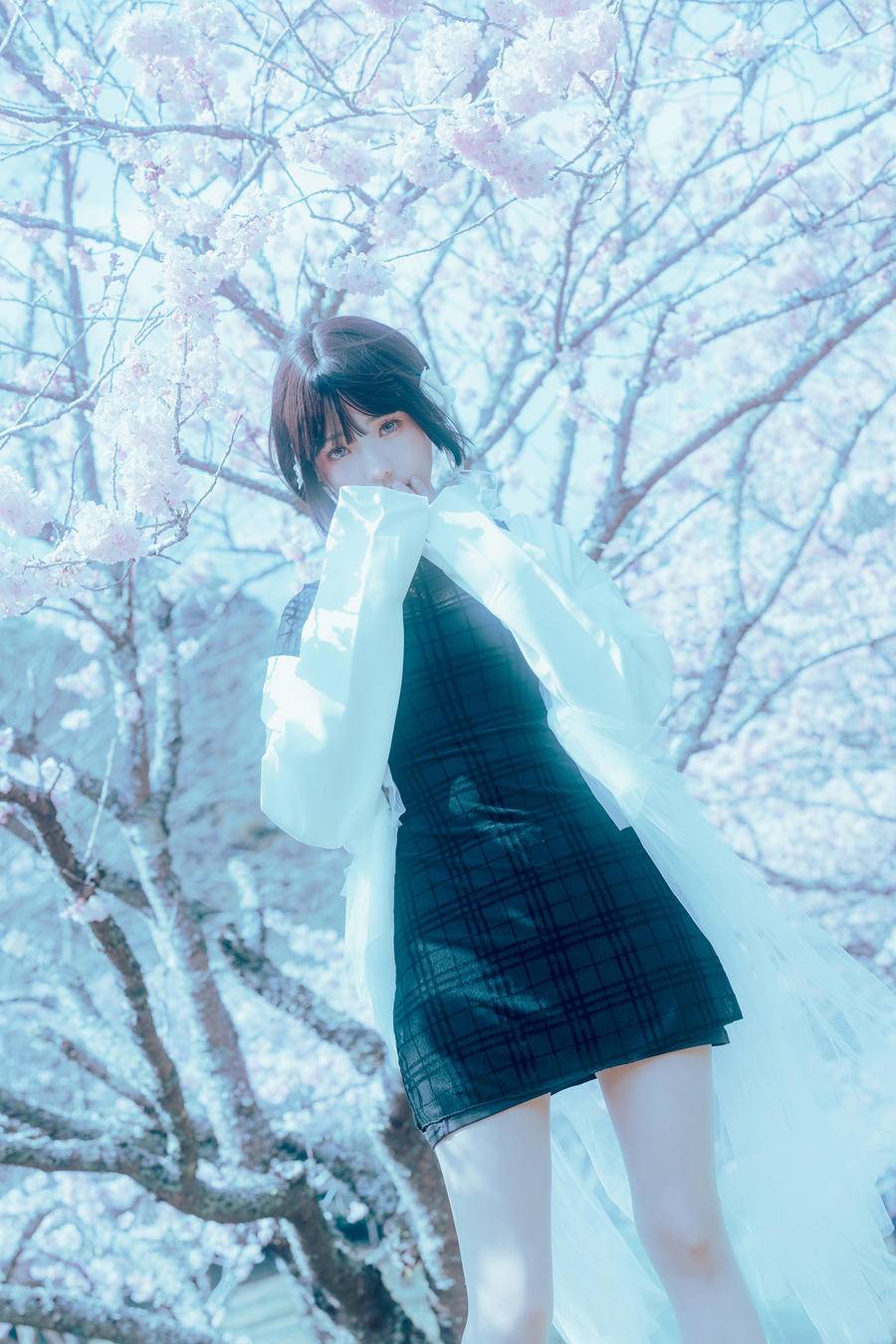30c53a287050f-0