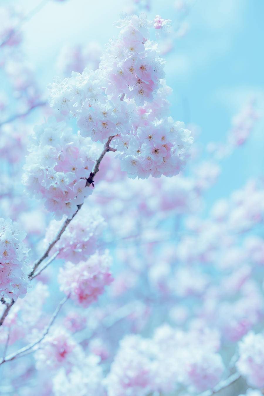7b45f761f4791-0