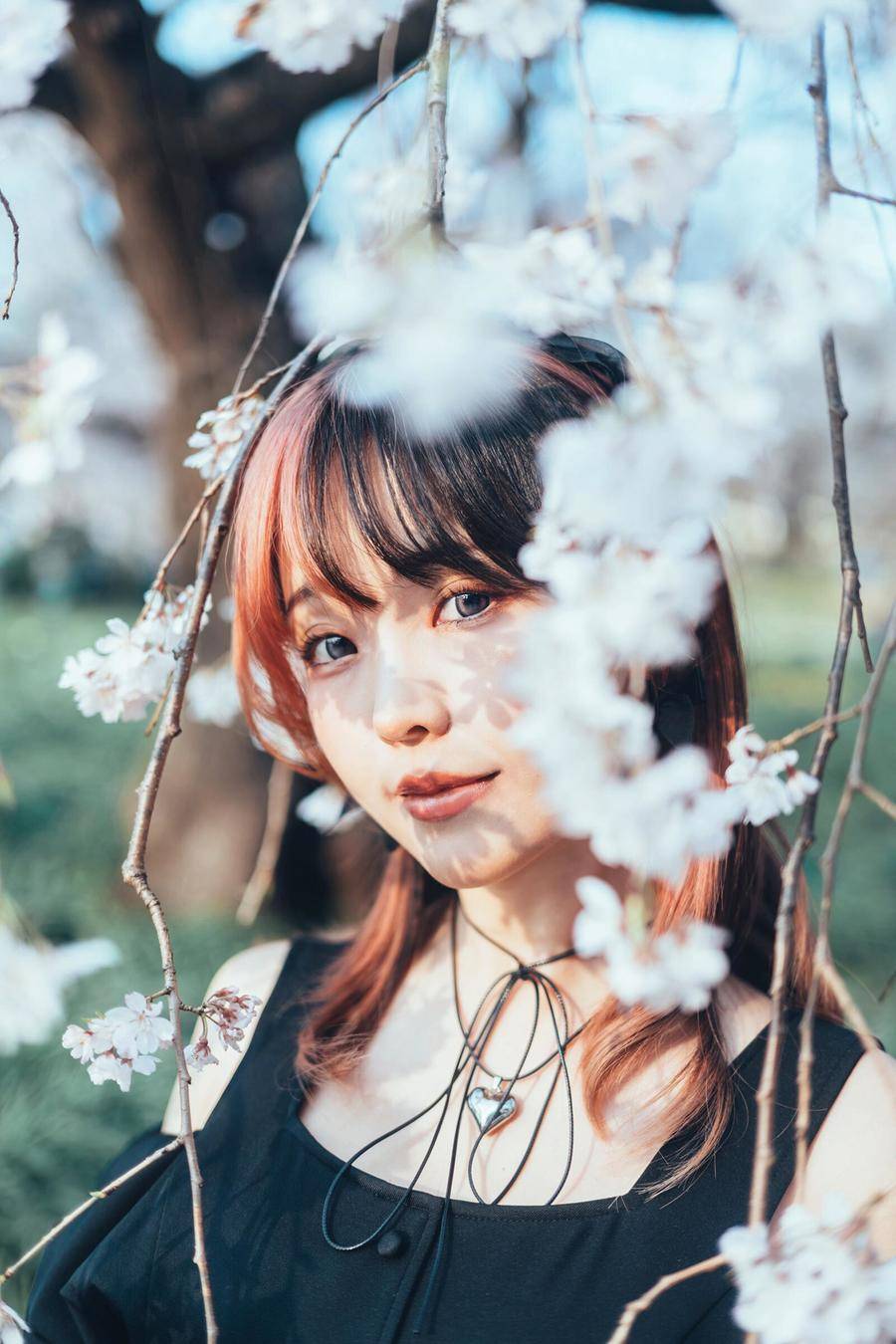 d60dd5f866211-0